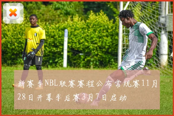 新赛季NBL联赛赛程公布常规赛11月28日开幕季后赛3月7日启动